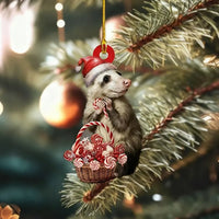 Sugar Possum