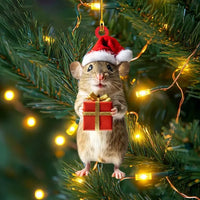 Santa Rat